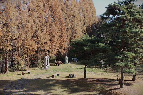 Outdoor Sculpture Park